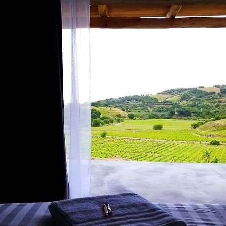 Les Cabanons De Meme Jeannette Bed & Breakfast Port Vendres Ngoại thất bức ảnh