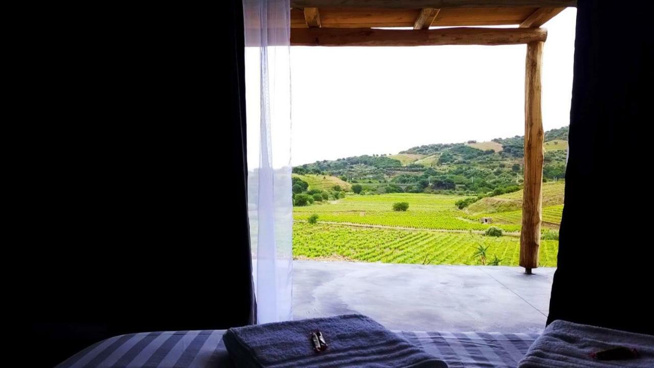 Les Cabanons De Meme Jeannette Bed & Breakfast Port Vendres Ngoại thất bức ảnh